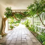 Rocha Seaview By Cc 810 *